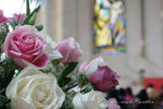 IMG_3231c
