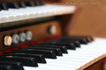 IMG_3344c