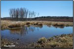 big meadow 04a
