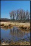 big meadow 07a