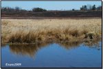 big meadow 09a