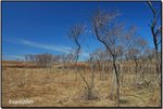 big meadow 10a