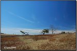 big meadow 15a