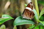 
�ձa�L����
Kit���Macro��A�R�R���V��V�I!�u�n������a�A���v�ۡI