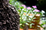�s��s 32