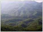IMG_8406