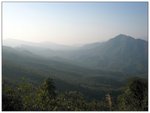 IMG_8548