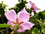 ������_02_08aug10