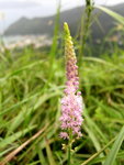 ������_03_08aug10