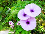 �̭��s_03