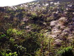 �̭��s_27