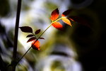 �P�h��s�}_08