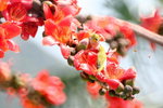 �M�I�z����d�f���{�I ���Y�I �Y��ժw�{�I