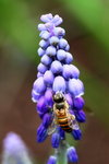 ��i2010_02
