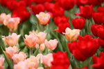 ��i2010_07