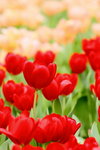 ��i2010_11