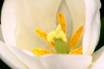 ��i2010_12