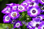 ��i2010_13
