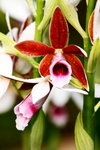 ��i2010_15
