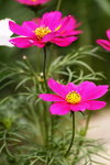 ��i2010_20