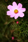 ��i2010_21