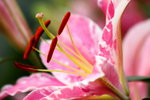��i2010_32