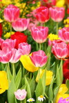 ��i2010_35