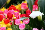 ��i2010_38
