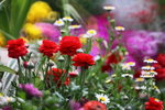 ��i2010_39