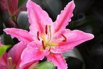 ��i2010_40