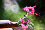 ��i2010_42