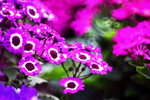 ��i2010_43