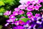 ��i2010_45