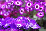 ��i2010_46