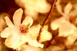 ��i2010_47