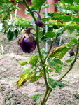 ����s_01
