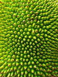 ����s_06