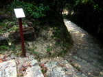 ����s_17
