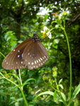 ����s_25