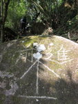 �s��_29