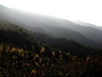 �s��_35