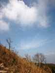 �K�P��_32