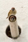 300mm + 2X ���e�j�qnoise!