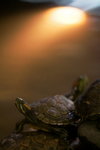 28jun08_01_resize