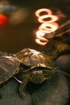 28jun08_03_resize