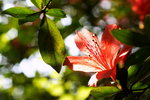 ��y��_05