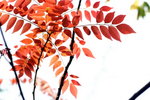 ��y��_09