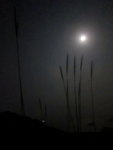 ���C_07