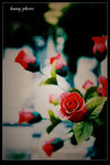 Agfa CT100(e to c)