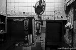 _MG_0416